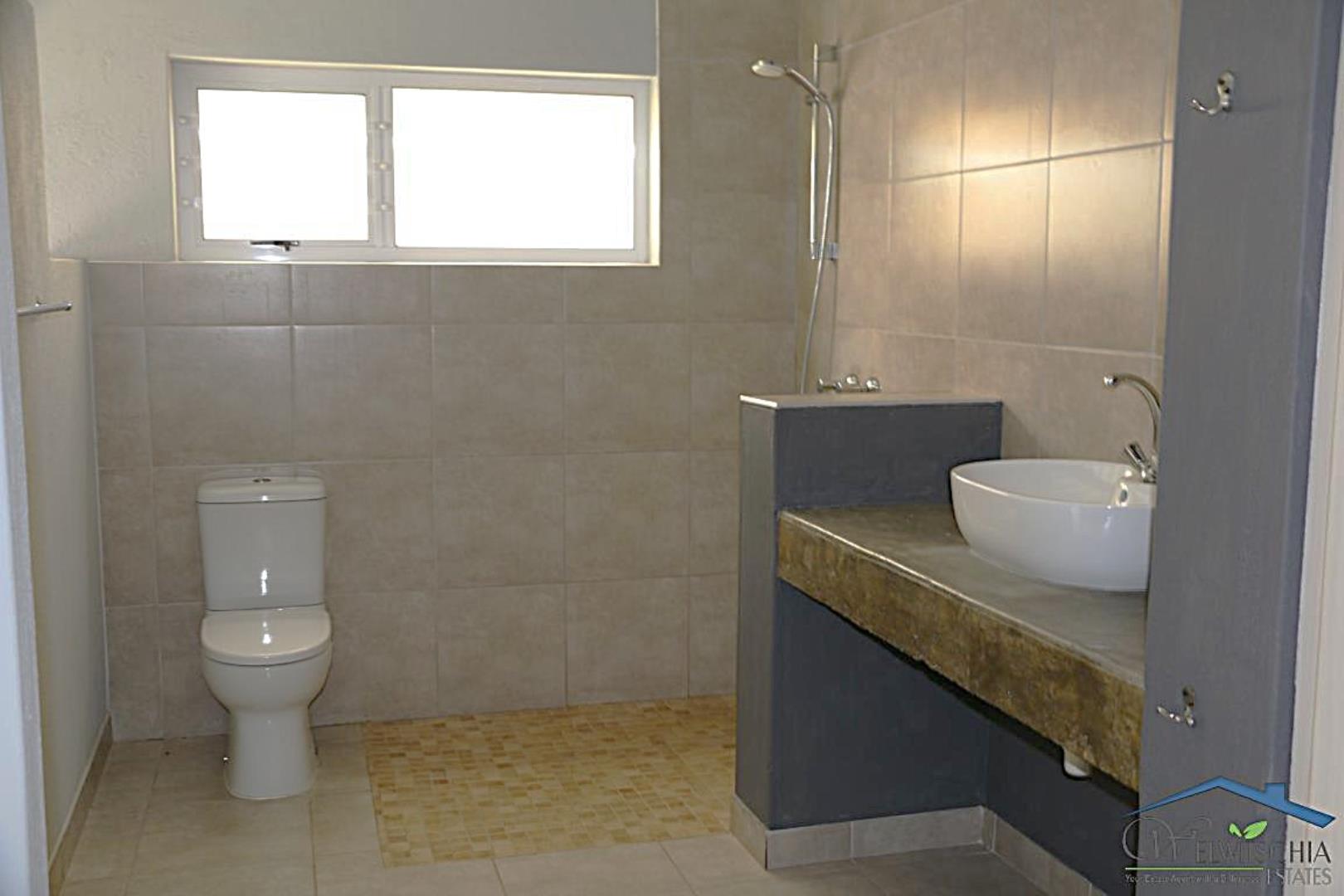732349_mini_IMG_3627.JPG