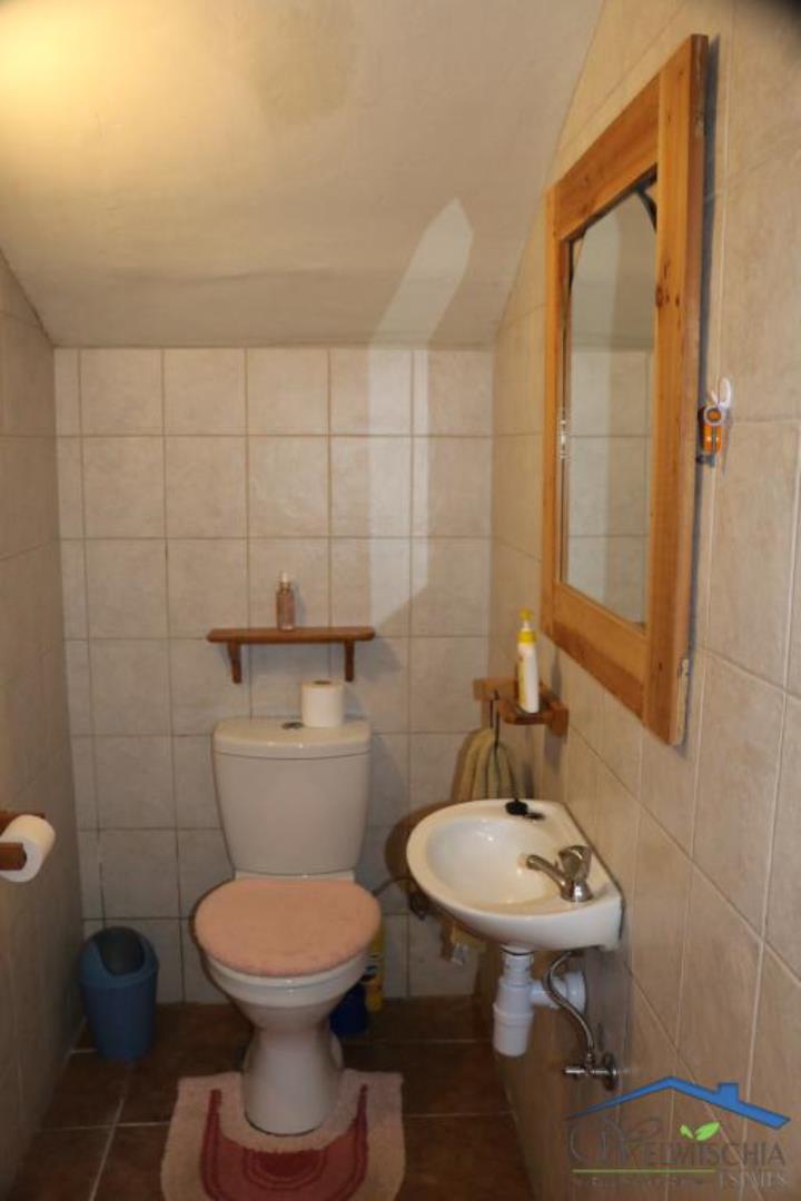 732402_mini_IMG_3658.JPG
