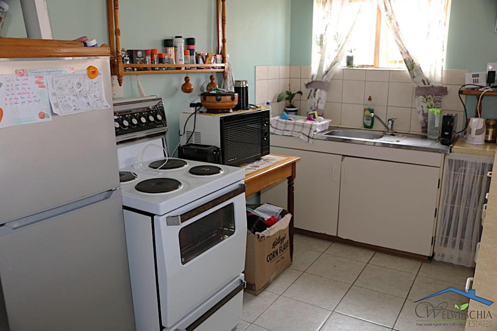 732402_mini_IMG_3675.JPG