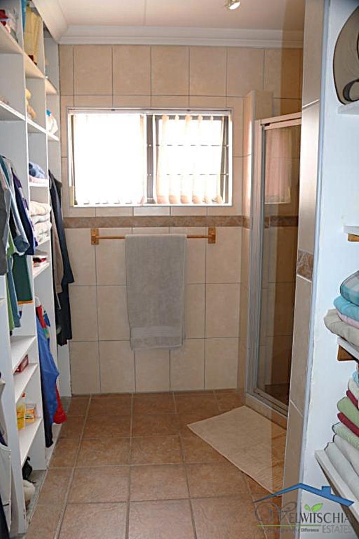 732402_mini_IMG_3690.JPG