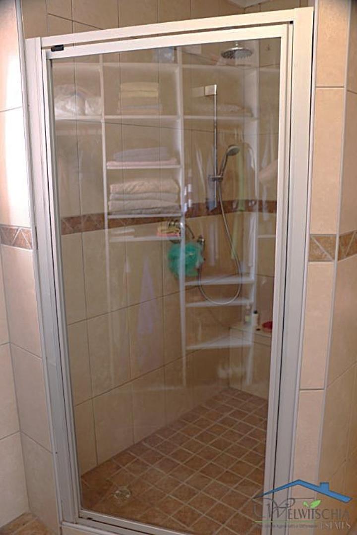 732402_mini_IMG_3693.JPG