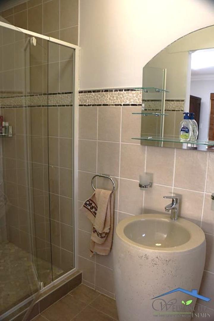 732549_mini_IMG_3711.JPG