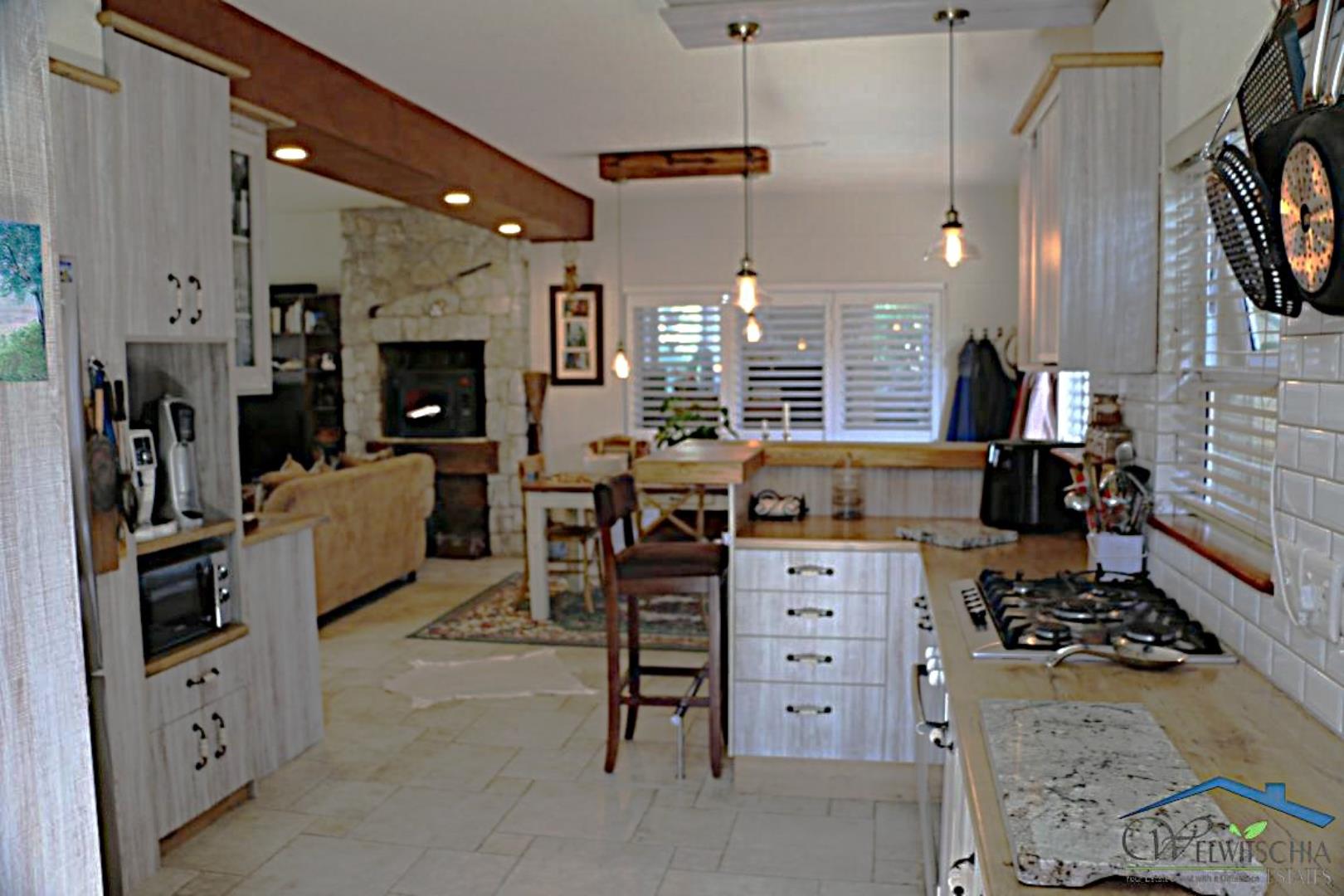 732595_mini_IMG_3791.JPG