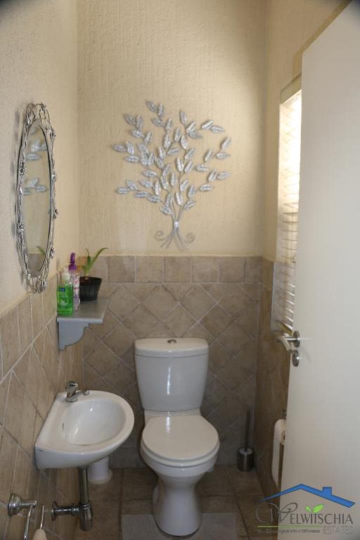 732595_mini_IMG_3799.JPG