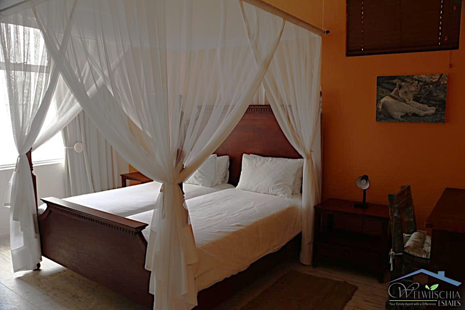 739905_mini_IMG_3916.JPG