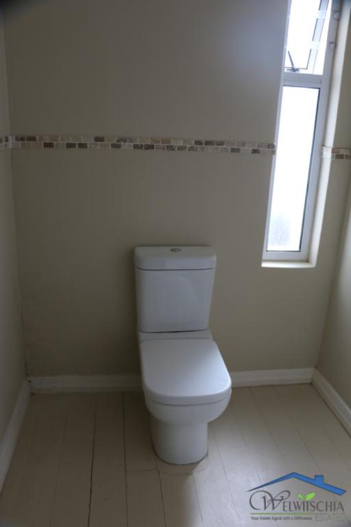 739905_mini_IMG_3921.JPG