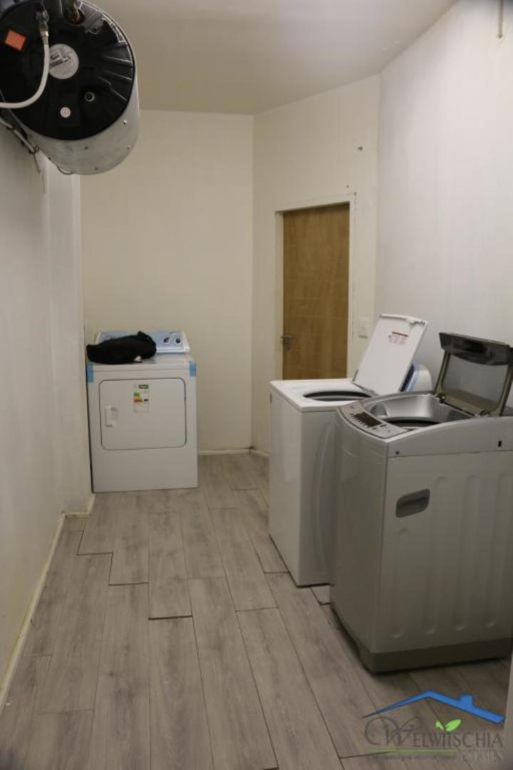 739905_mini_IMG_3953.JPG
