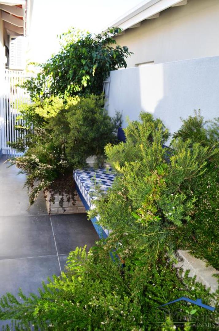 752816_mini_Northern_patio_with_established_plants.JPG
