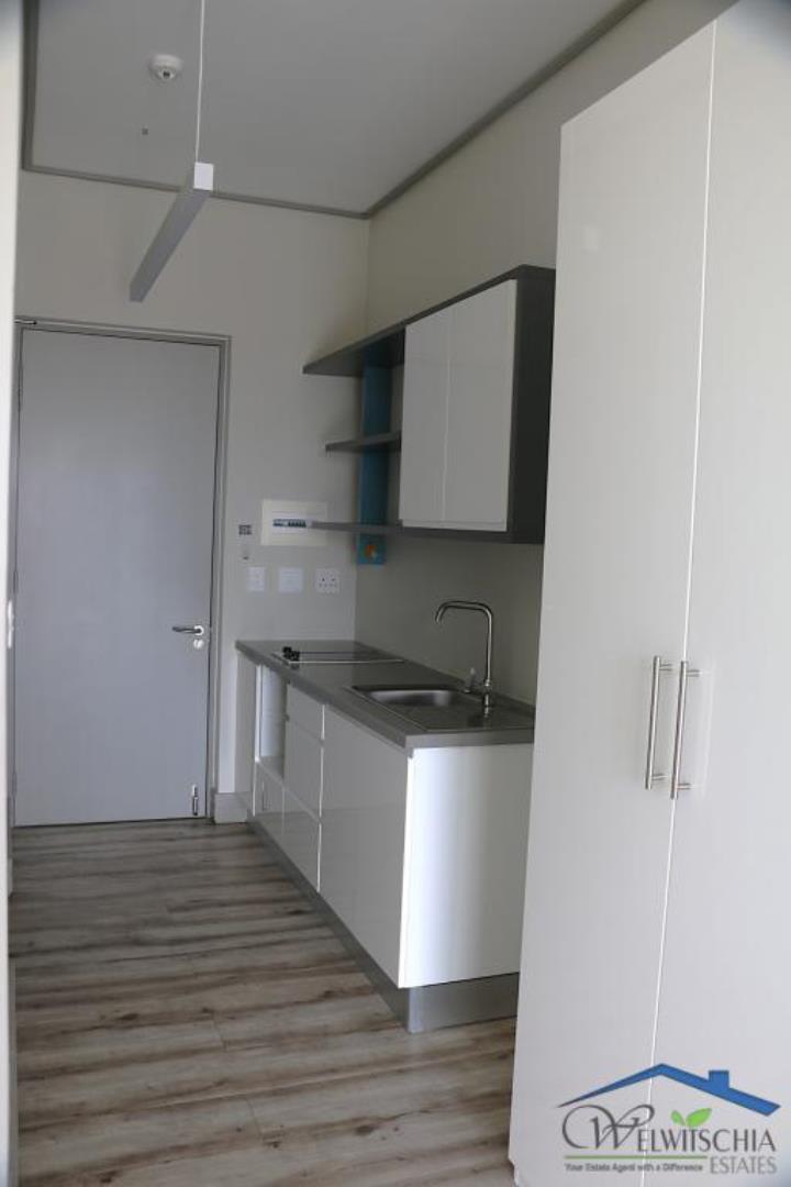 756871_mini_IMG_4488.JPG