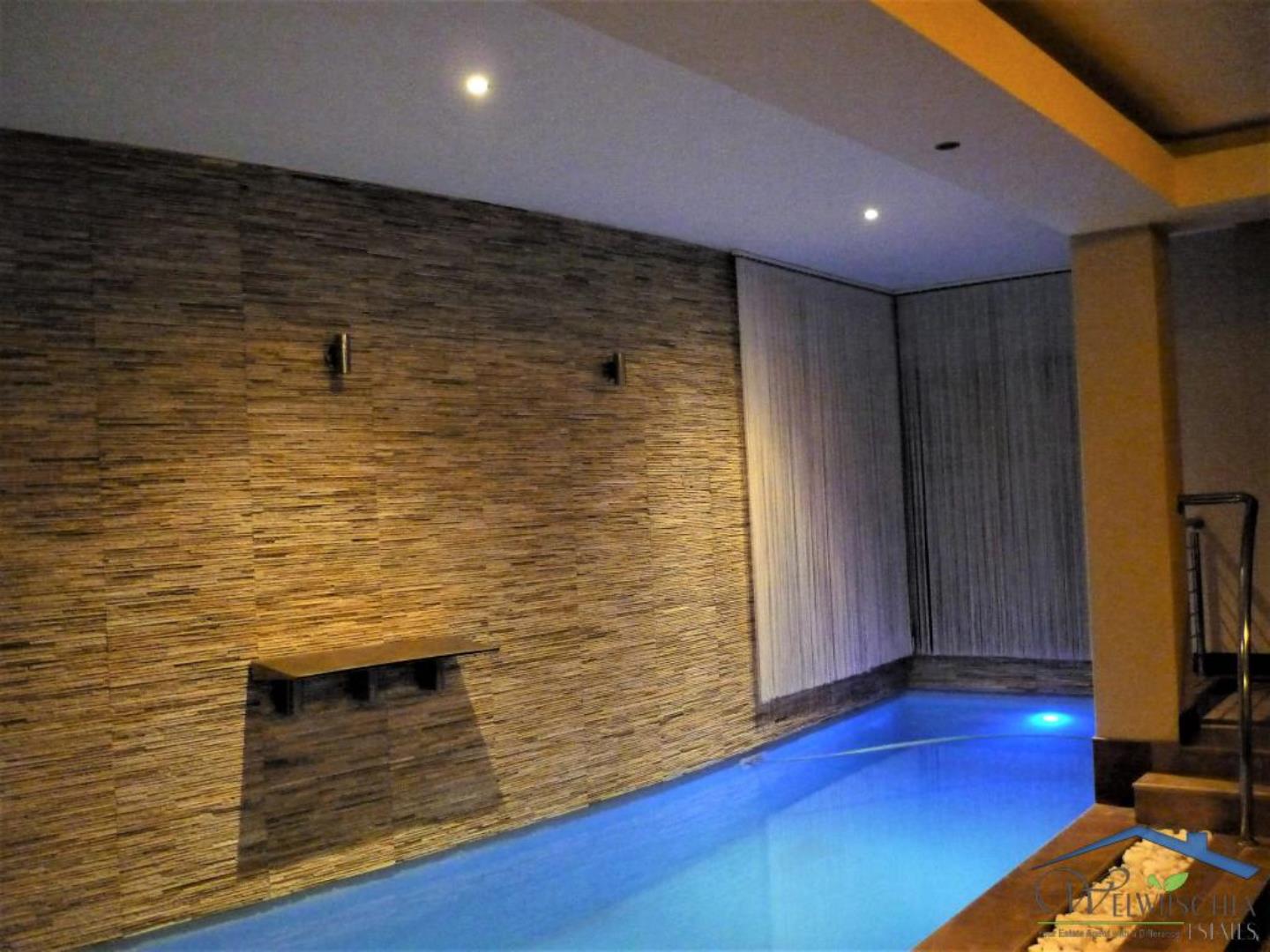 768515_mini_Pool_-_evening_3.JPG