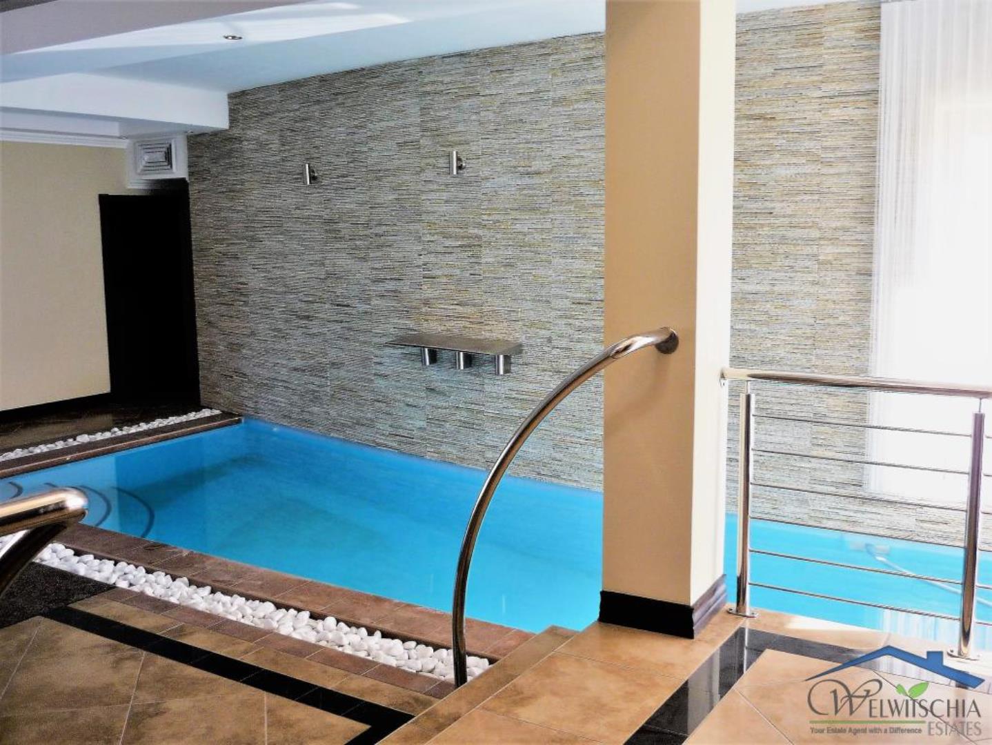 768515_mini_Pool_1.JPG