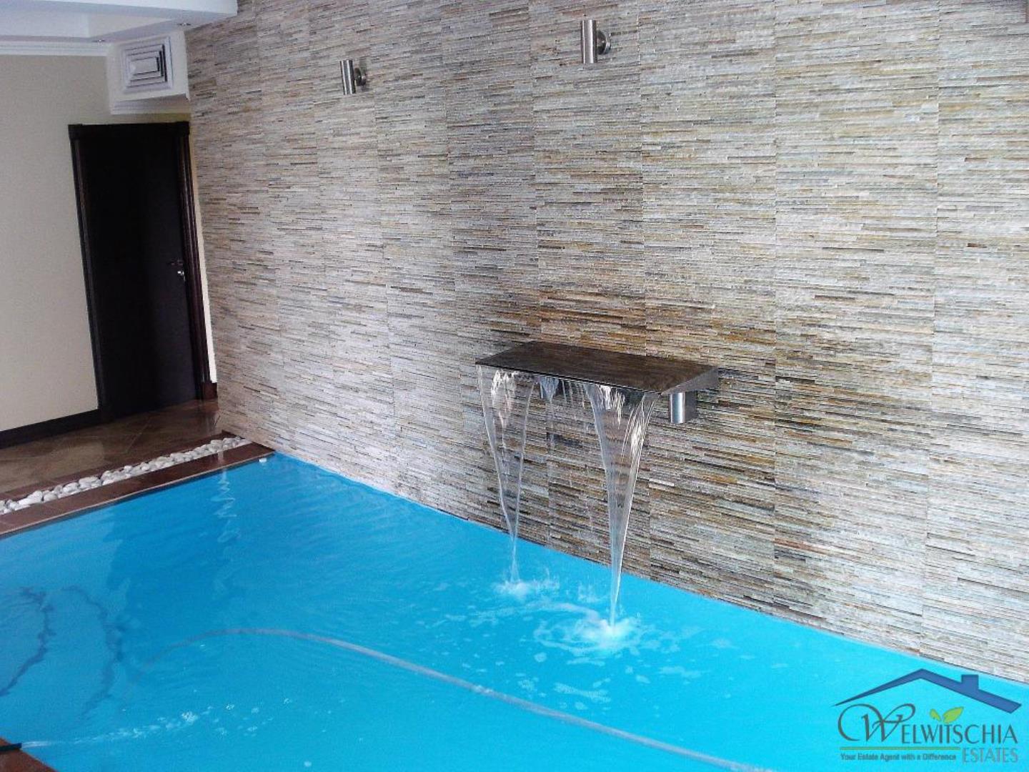 768515_mini_Pool_2.JPG