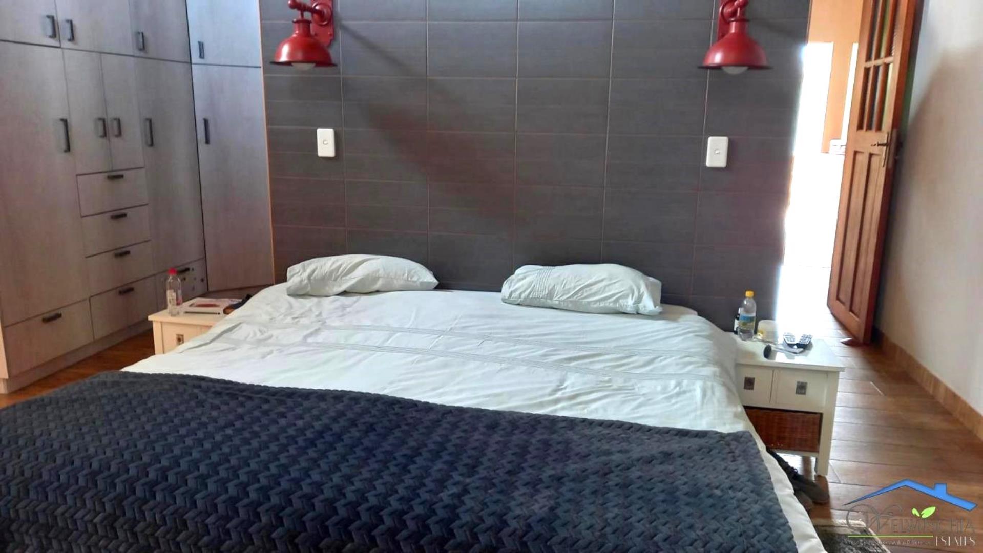 730367_mini_20241113_110752.jpg