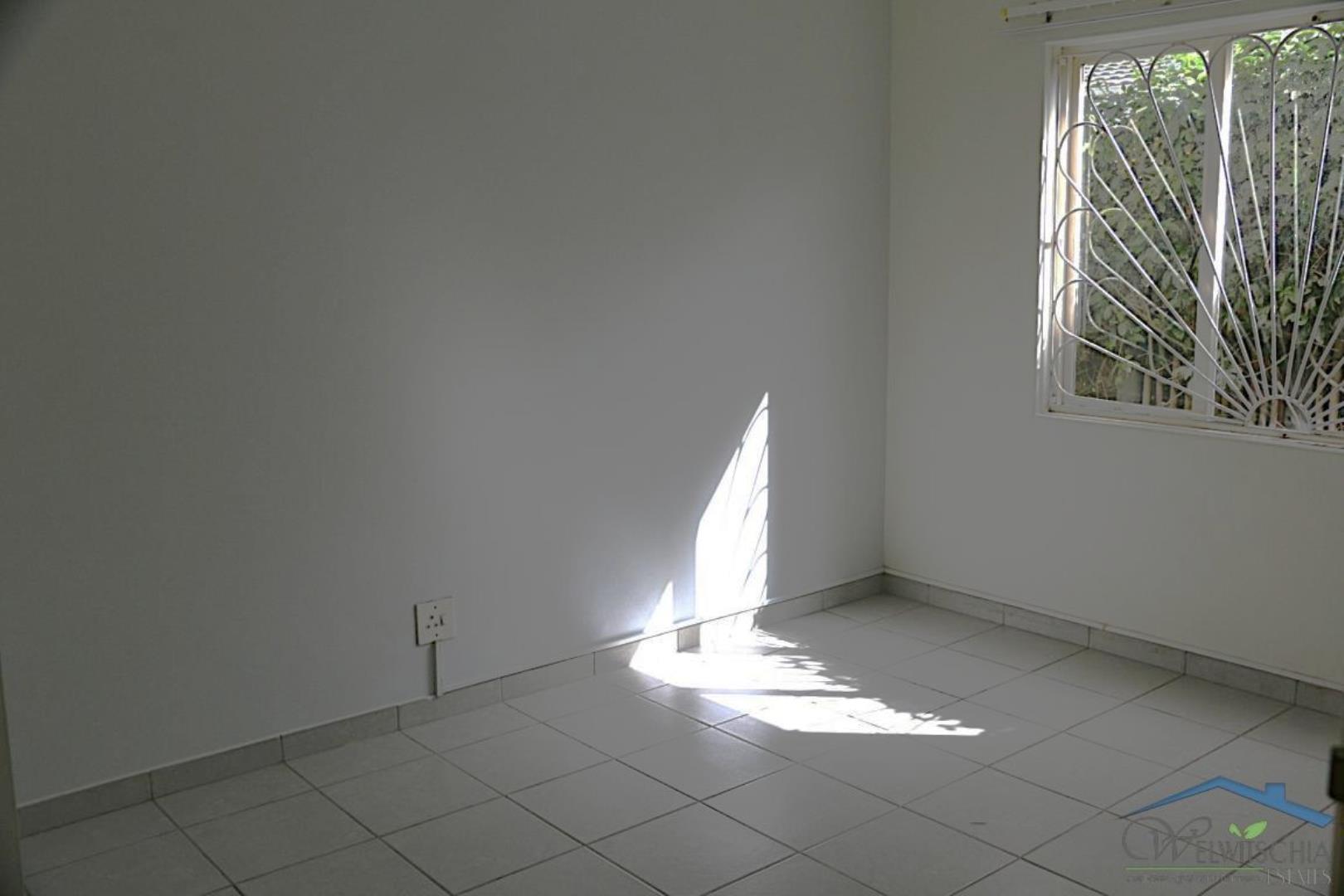 751006_mini_IMG_4099.JPG
