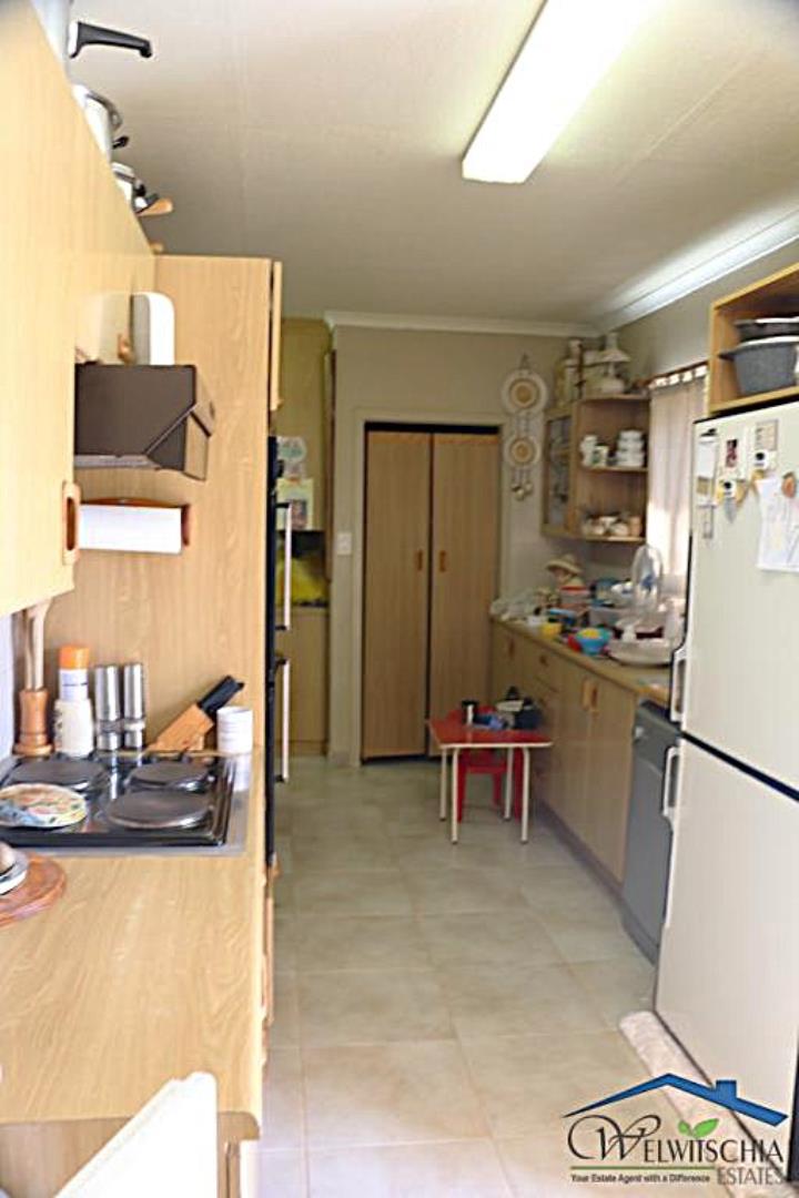 751006_mini_IMG_4126.JPG