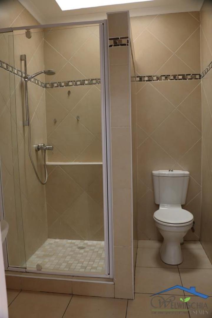 753007_mini_IMG_4464.JPG