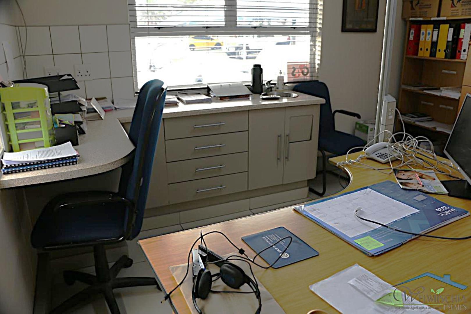 765969_mini_IMG_5232.JPG