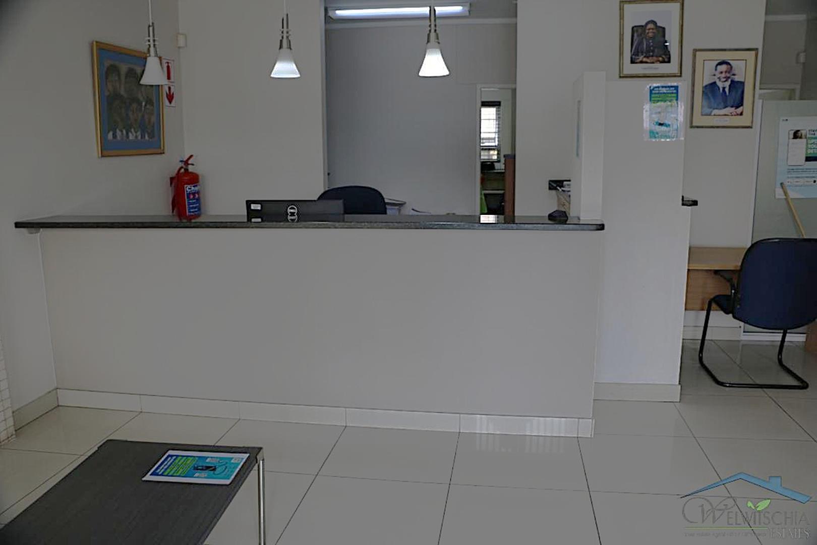 765969_mini_IMG_5248.JPG
