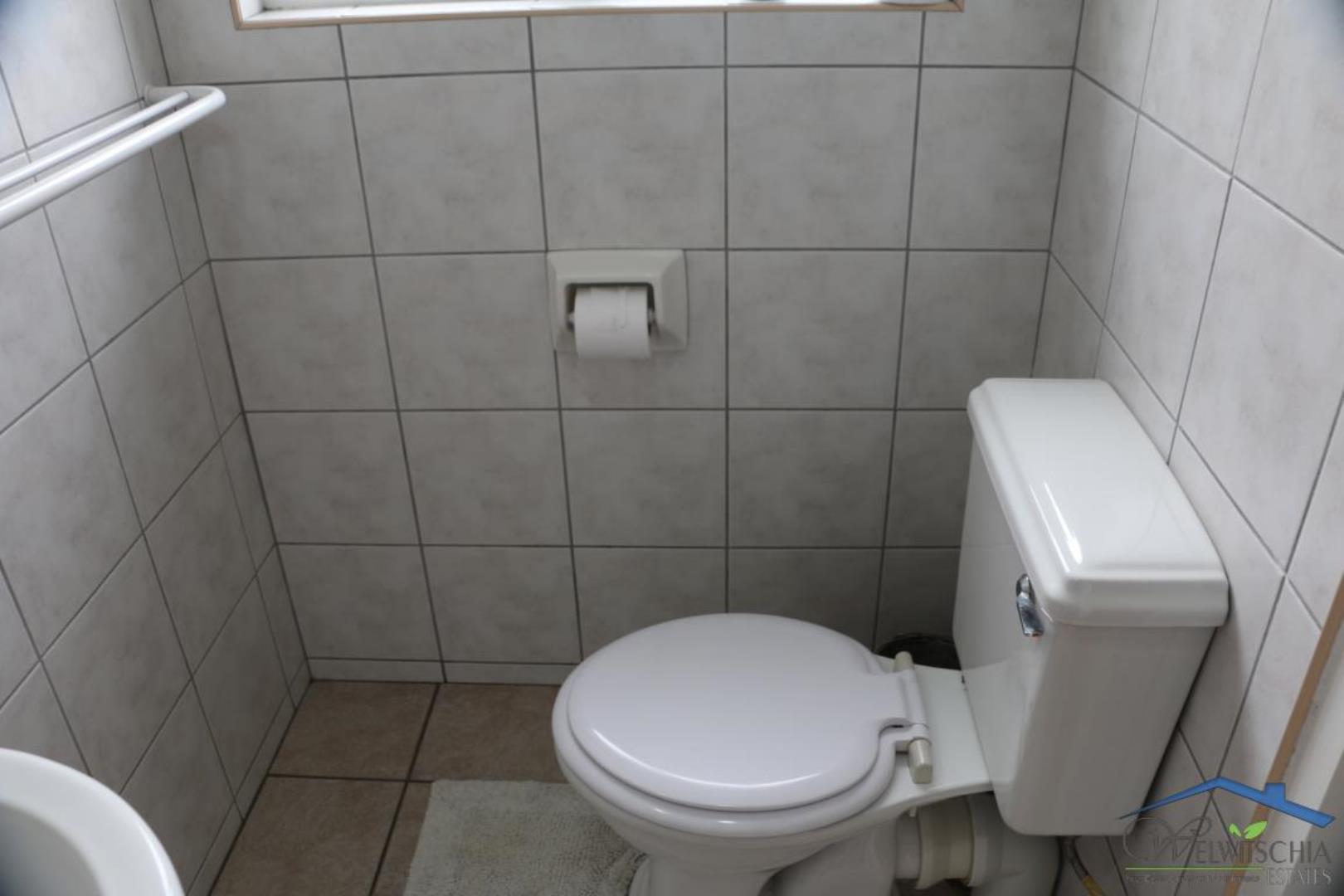 766320_mini_IMG_5764.JPG