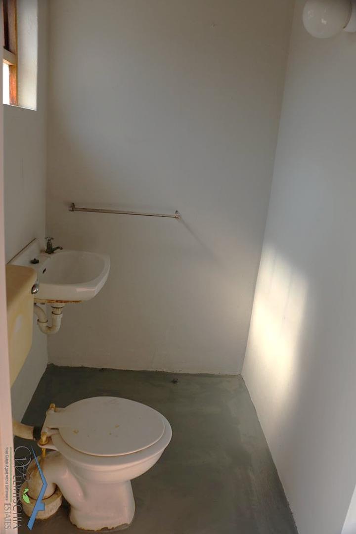 768571_mini_IMG_6236.JPG