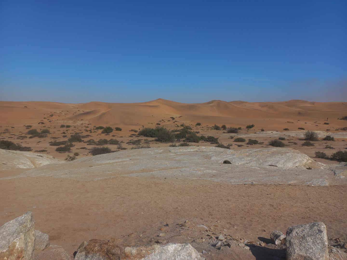 768769_20260820_153540.jpg